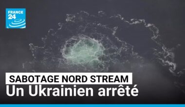 Sabotage de Nord Stream : un Ukrainien arrêté • FRANCE 24