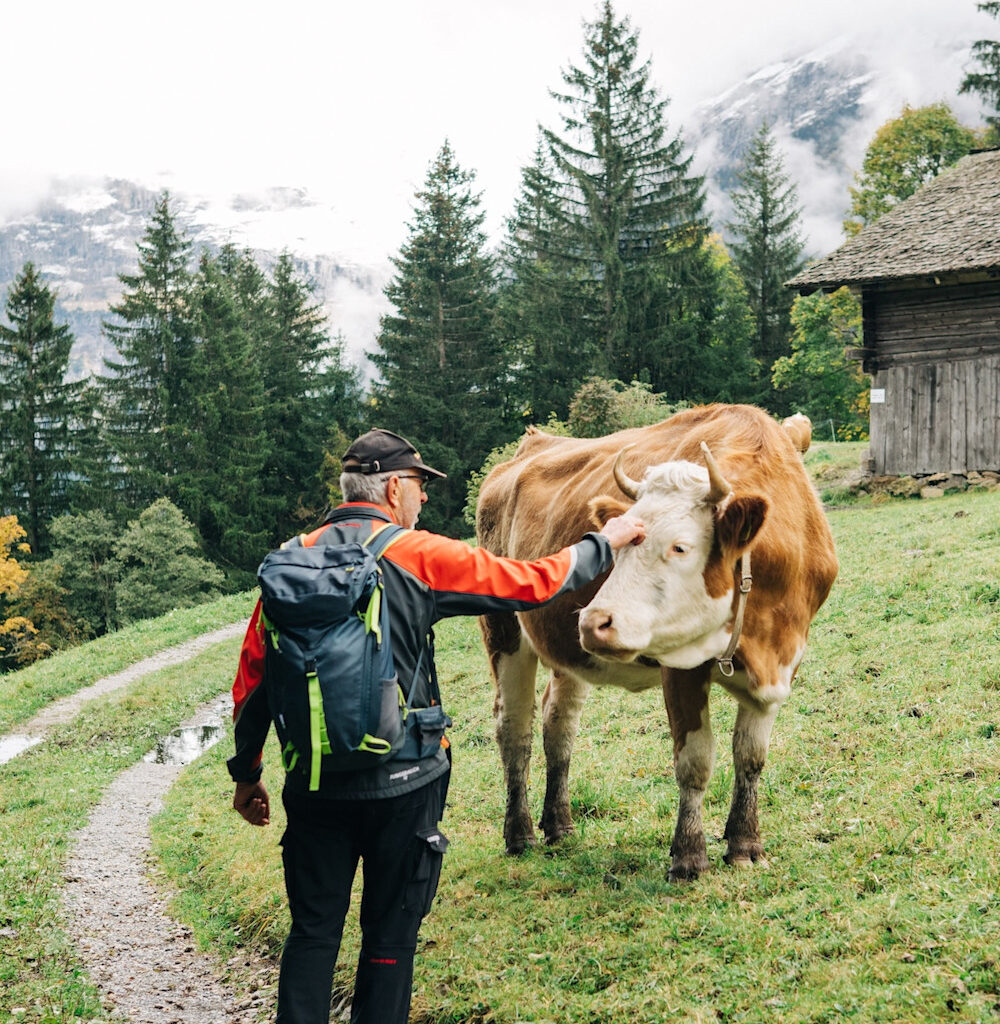 Hiker's Guide to Grindelwald, Switzerland | 7 Best Trials for All Levels