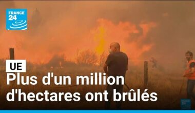 Plus d'un million d'hectares ont brûlés dans l'UE depuis début 2025 • FRANCE 24