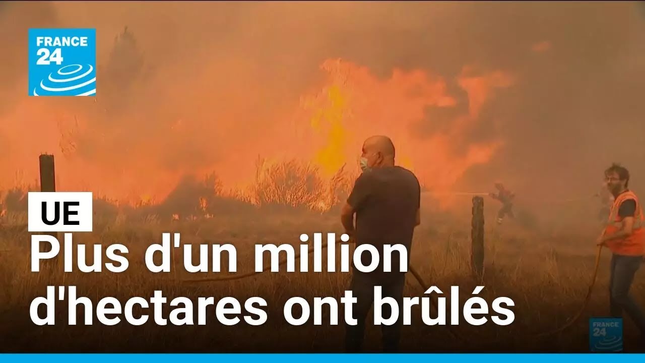 Plus d'un million d'hectares ont brûlés dans l'UE depuis début 2025 • FRANCE 24