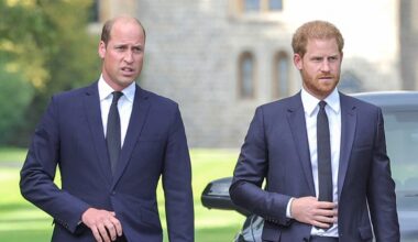 Here’s Why Prince William and Prince Harry Won’t Inherit the Estate Where Princess Diana Is Buried