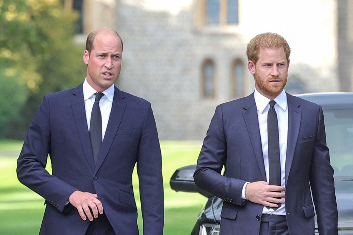Here’s Why Prince William and Prince Harry Won’t Inherit the Estate Where Princess Diana Is Buried
