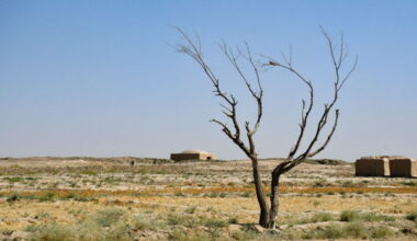Seven Belgian scientists to contribute to next IPCC climate report
