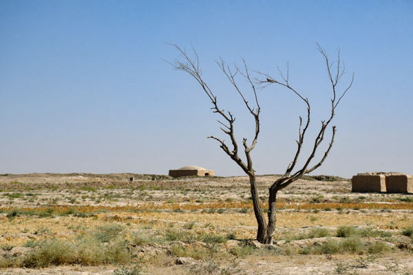 Seven Belgian scientists to contribute to next IPCC climate report