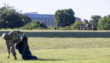 National Guard troops patrolling Washington take on beautification tasks