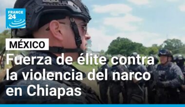 Los pakales, la fuerza de élite de Chiapas contra la violencia de los cárteles • FRANCE 24