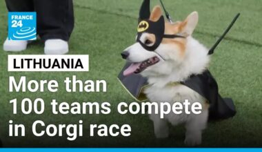 More than 100 teams compete in Lithuania's international Corgi race • FRANCE 24 English