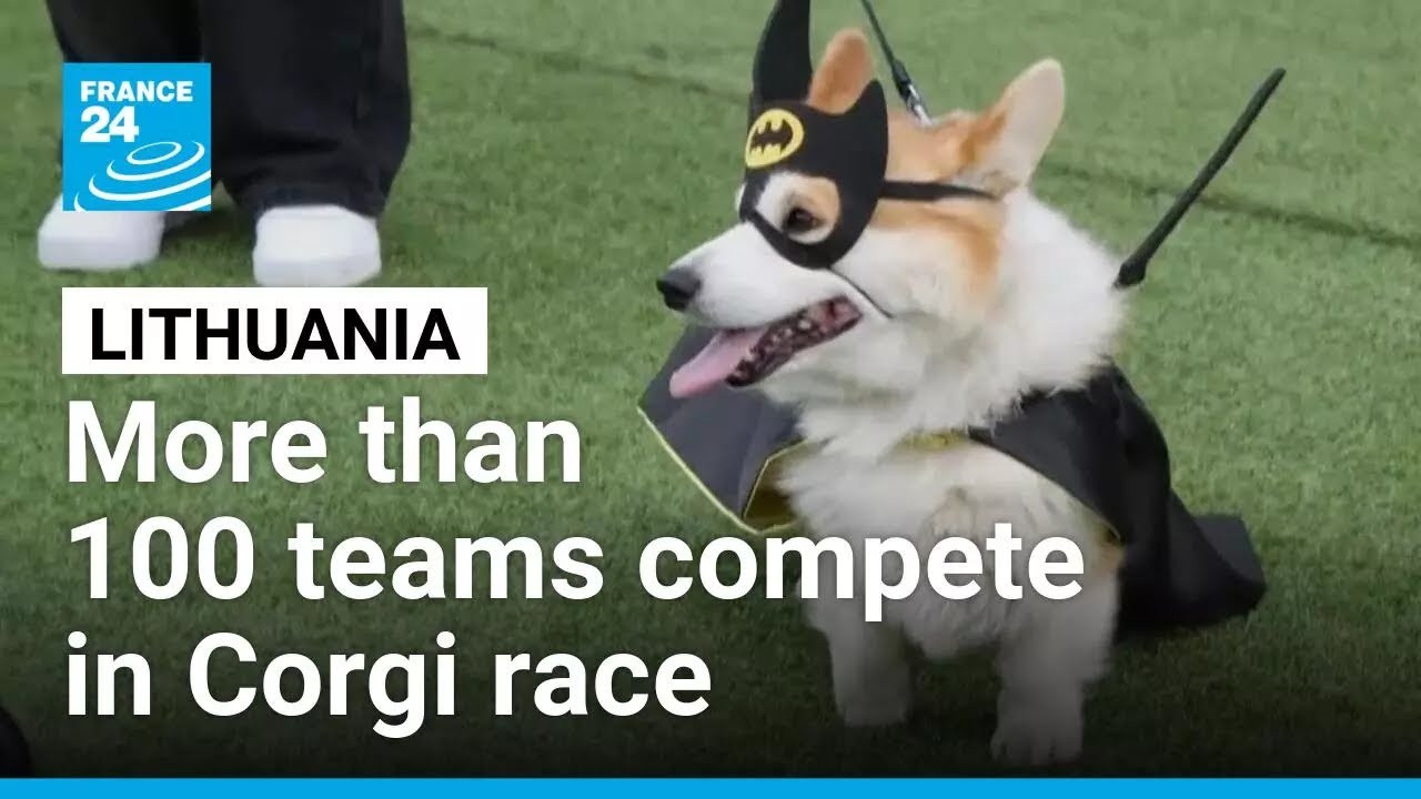 More than 100 teams compete in Lithuania's international Corgi race • FRANCE 24 English
