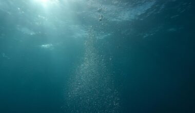 Deep under the Japan Trench, scientists made a shocking discovery. Here's what they found | Trending