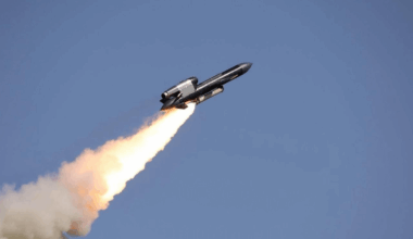 Maker of Ukraine's new Flamingo cruise missile facing corruption probe