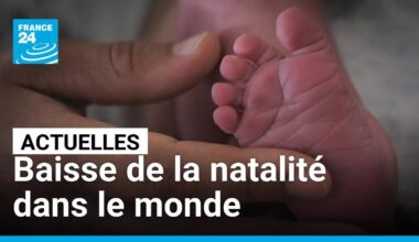 Baisse de la natalité dans le monde : moins d'enfants... mais mieux! • FRANCE 24