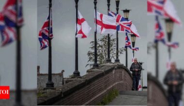 Elon Musk, Tommy Robinson, and Union Flags: British 'patriots' are hanging flags - to protest 'illegal immigrants' | World News