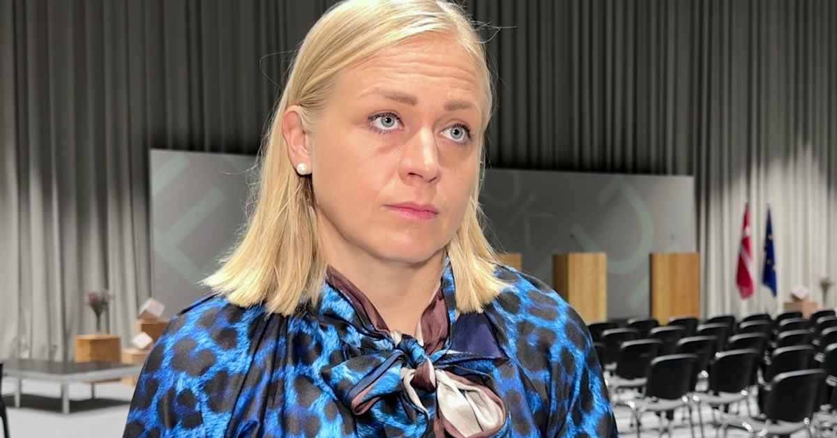Finland signals openness to freezing EU–Israel trade deal | Yle News