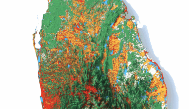 [OC] Sri Lanka’s Land Cover in 3D — Water, Trees, Crops, Built Areas, and Rangeland