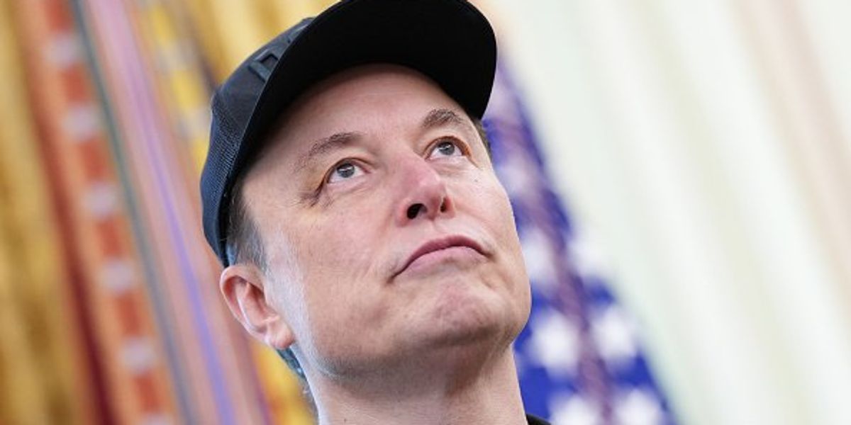 Elon Musk reacts to Epping asylum ruling with fresh Advance UK endorsement - but what is it?
