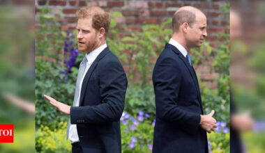 Feud at Diana’s grave: Prince William and Prince Harry split over mother's 30th death anniversary films