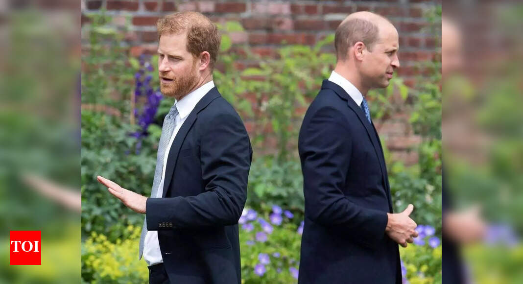 Feud at Diana’s grave: Prince William and Prince Harry split over mother's 30th death anniversary films