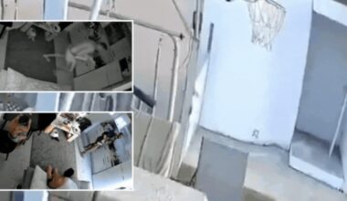 Israel-Hamas war: Tel Aviv releases chilling October 7 attack footage; children seen pleading as father dies shielding them