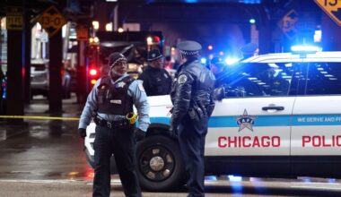 Chicago sees 5 killed, 35 wounded in Labor Day weekend violence: report