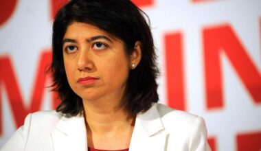 Immigration minister dismisses Reform immigration plans as ‘gimmicks’
