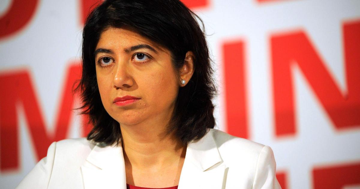 Immigration minister dismisses Reform immigration plans as ‘gimmicks’