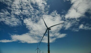 Germany Gets No Bidders in Zero-Subsidy Offshore Wind Auction