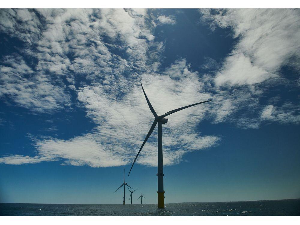 Germany Gets No Bidders in Zero-Subsidy Offshore Wind Auction