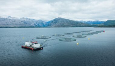 Norway salmon spot prices lift marginally, Scottish steady, Chilean soften