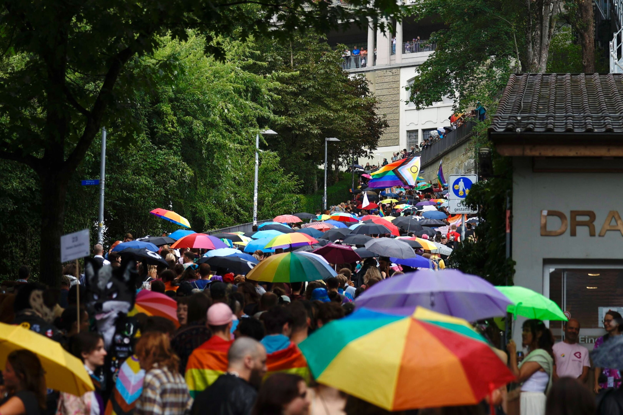 Menschenmenge mit bunten Regenschirmen bei einer Parade auf einer mit Bäumen gesäumten Strasse. Menschenmenge mit bunten Regenschirmen bei einer Parade auf einer mit Bäumen gesäumten Strasse.