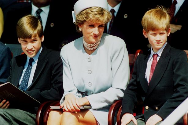Prince William, Princess Diana, Prince Harry