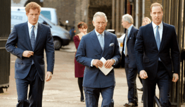 Prince Harry's Relationship With William Is 'Different' From King Charles, Expert Says