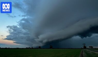 BOM's spring forecast shows warm, wet weather for most of Australia