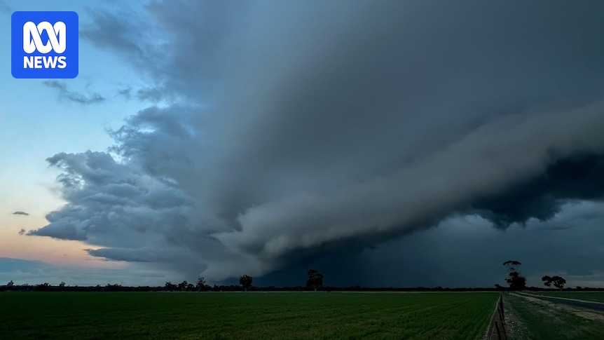 BOM's spring forecast shows warm, wet weather for most of Australia