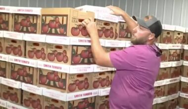 Alabama farmer sees new interest within days of Trump’s tomato tariff — and says former trade deal ‘never worked’ for US