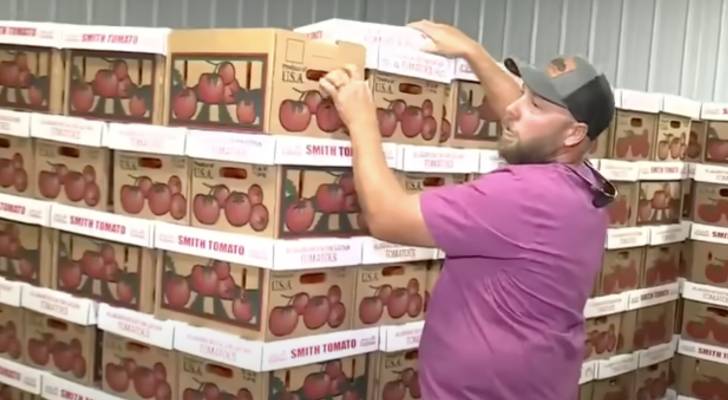 Alabama farmer sees new interest within days of Trump’s tomato tariff — and says former trade deal ‘never worked’ for US