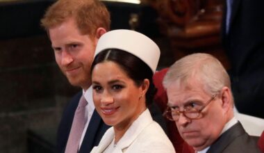 Historian Won't Back Down at Prince Harry Legal Threat But Makes Key Change