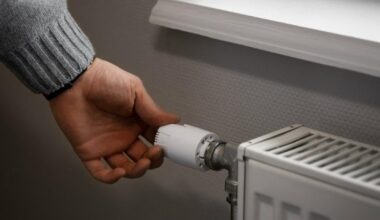 Slovakia to freeze energy prices for most households despite EU push for targeted aid