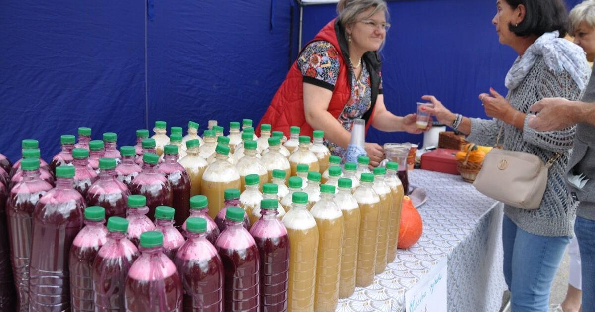 Slovakia’s first burčiak of 2025 goes on sale