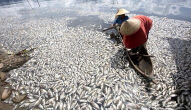 Southeast Asia’s green transition at a tipping point