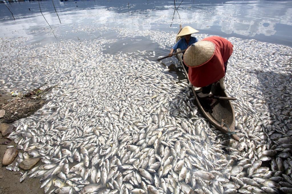 Southeast Asia’s green transition at a tipping point