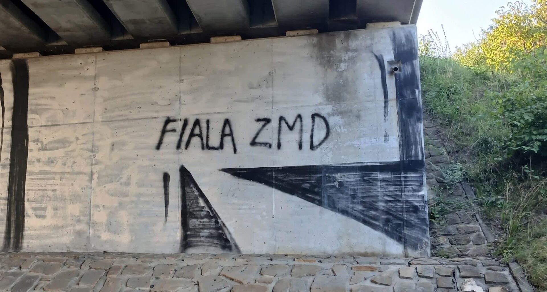 Asi spěchal