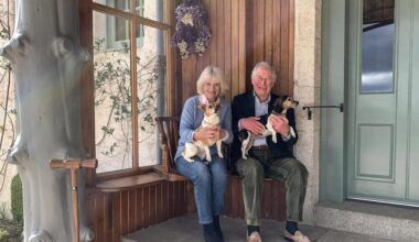 King Charles' estate launches line of royal dog treats