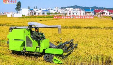 Jo Hyon, PhD, Kyungnam University