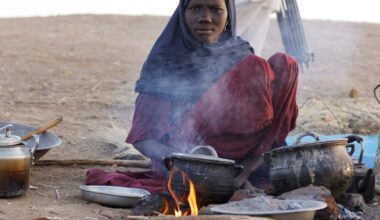 Why are people in Sudan’s el-Fasher starving? | Sudan war News
