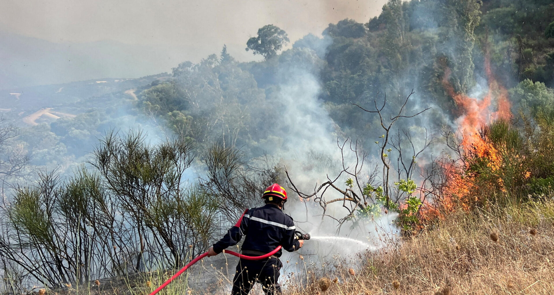 The Heat: Impact of climate change
