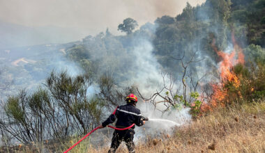 The Heat: Impact of climate change