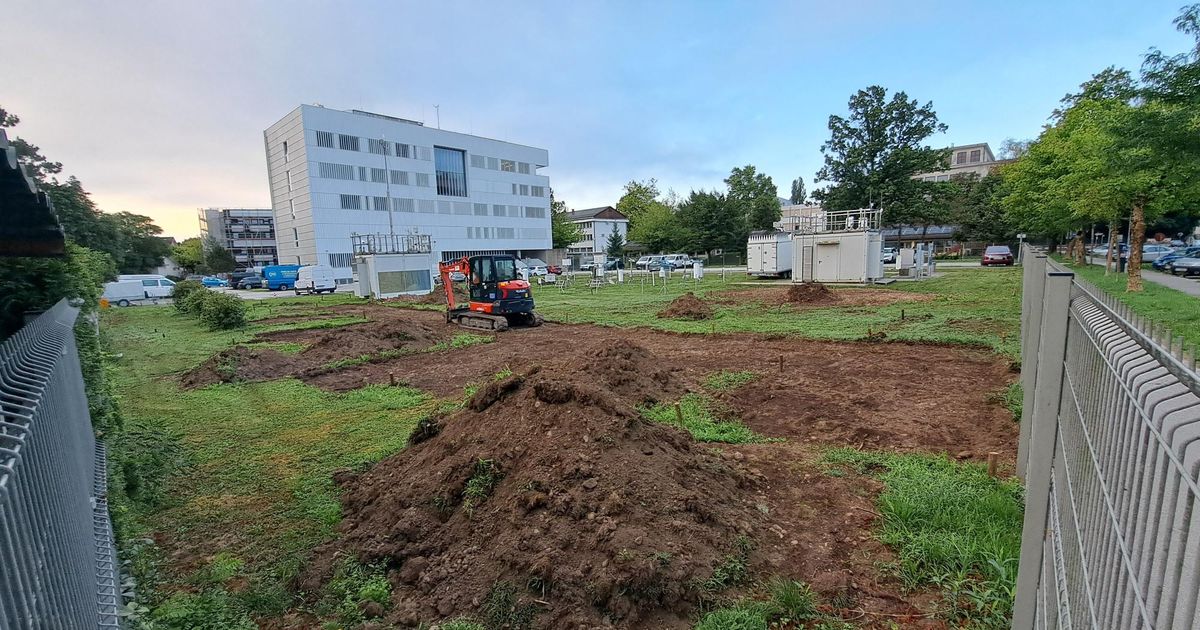 Podnebne spremembe v realnem času: nova fenološka ura v Ljubljani - Slovenija