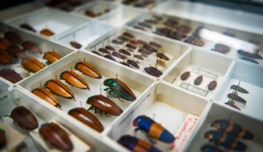 Australia opens facility to protect 13 mln biodiversity specimens-Xinhua