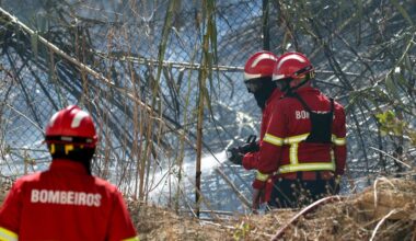 Portugal wildfires burn 139,000 hectares by mid-August-Xinhua