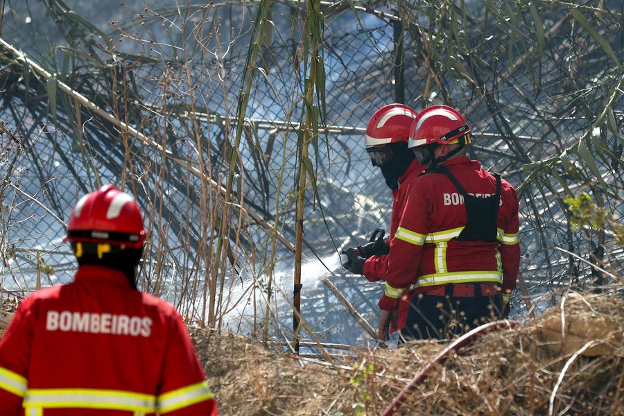 Portugal wildfires burn 139,000 hectares by mid-August-Xinhua